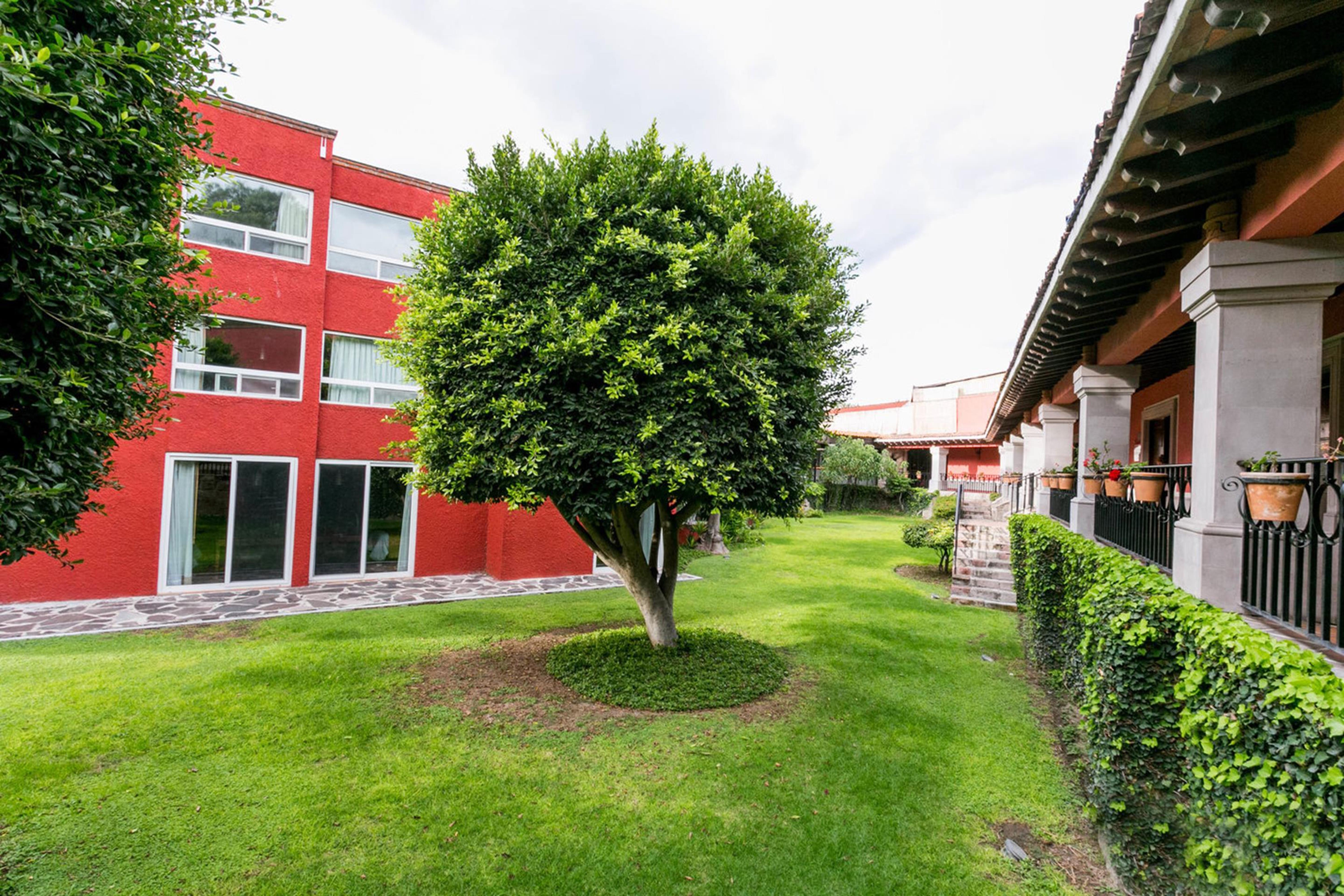 ホテル レアル デ ミナス サン・ミゲル・デ・アジェンデ エクステリア 写真 Campus de la Universidad Autónoma de La Laguna