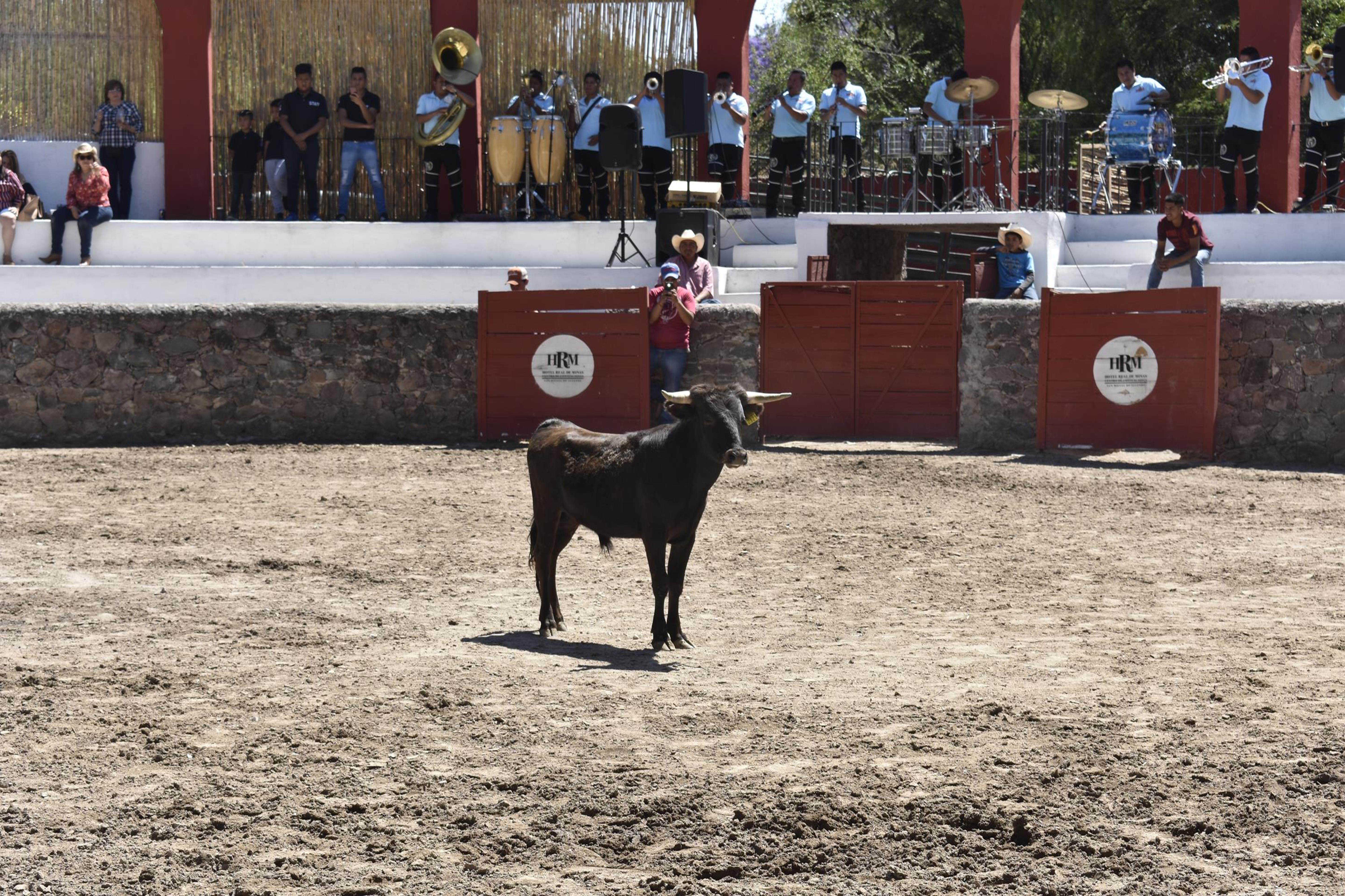 ホテル レアル デ ミナス サン・ミゲル・デ・アジェンデ エクステリア 写真 A bull in the bullring