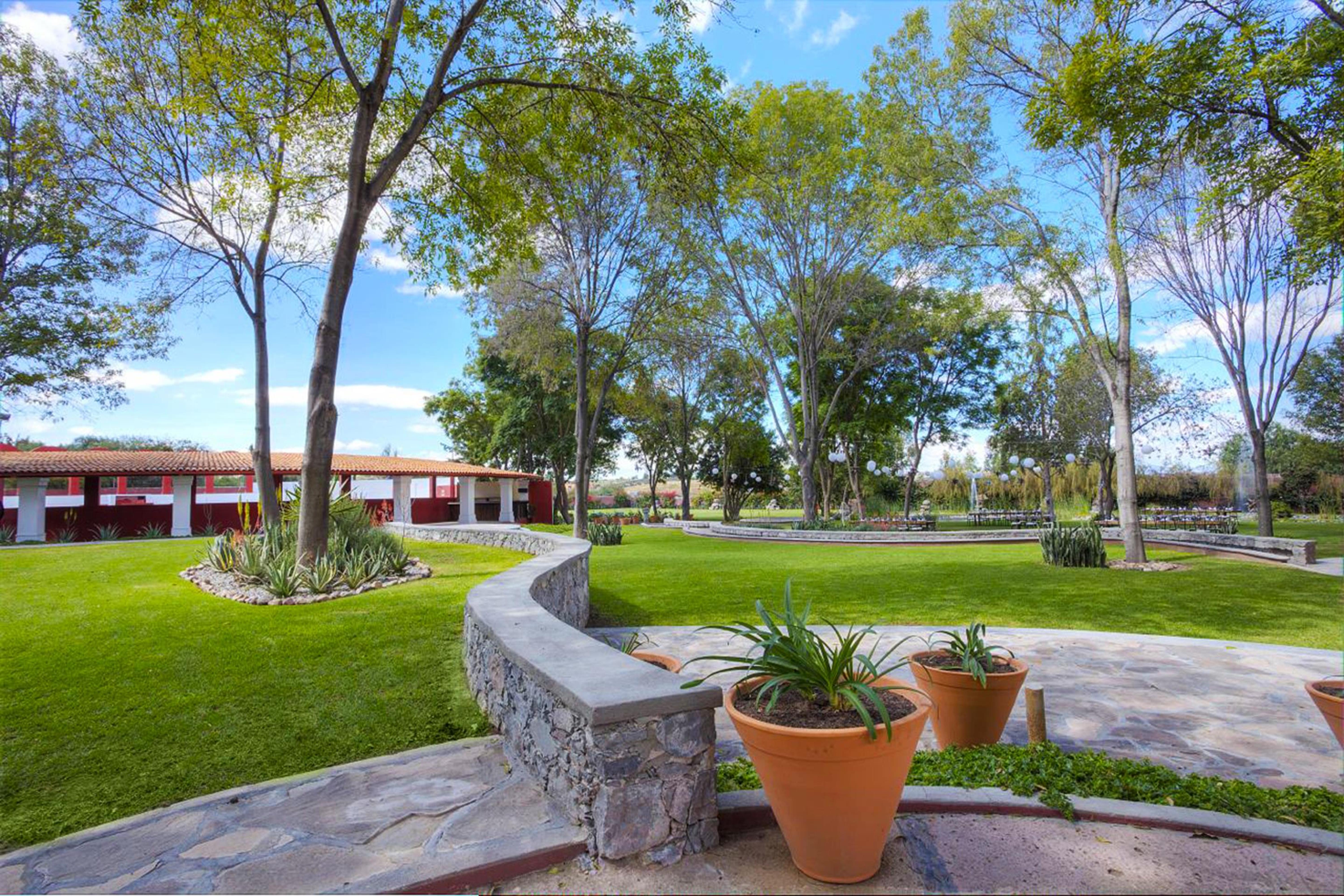 ホテル レアル デ ミナス サン・ミゲル・デ・アジェンデ エクステリア 写真 View of the main square in San Marcos